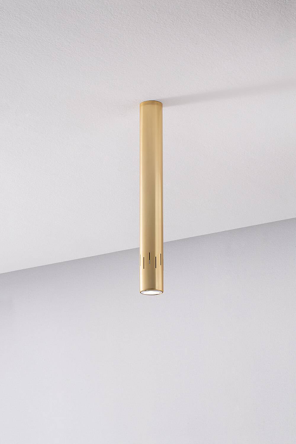 c-yl 100/pl dim DALI push plus