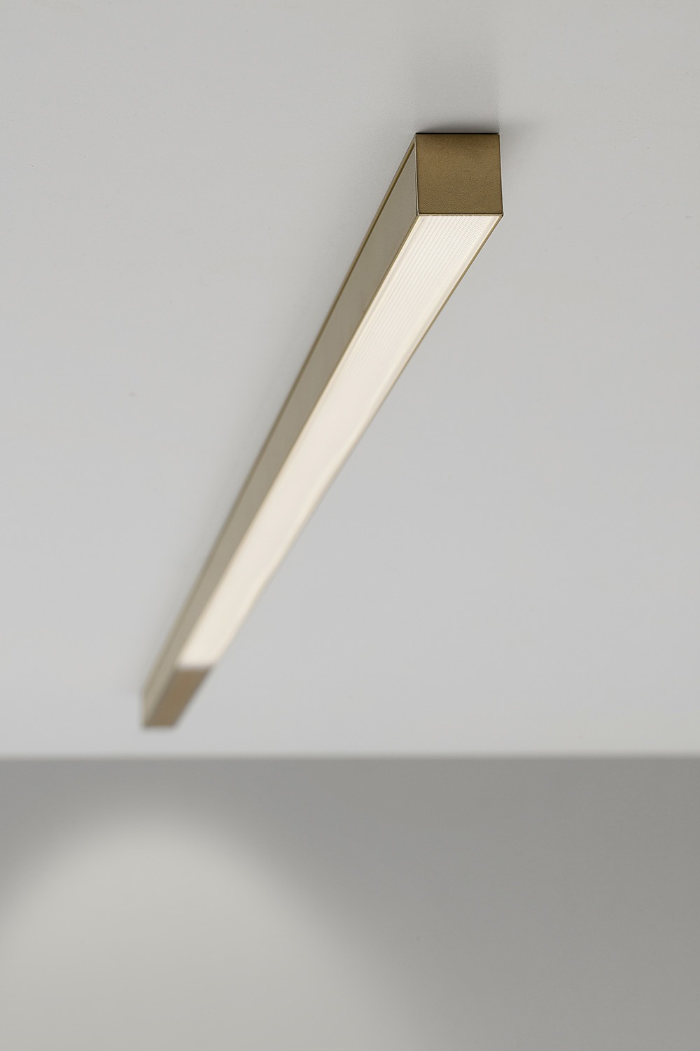 bacchetto 110/sp dim DALI push